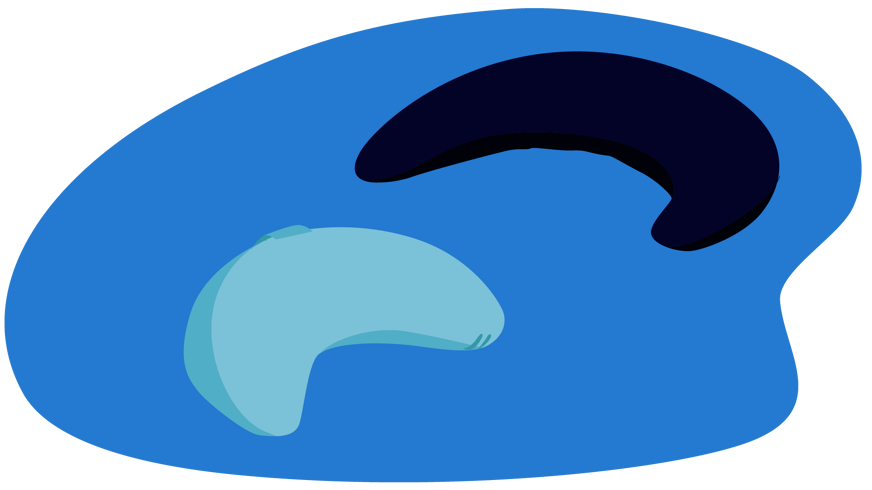 coussin grossesse forme de banane